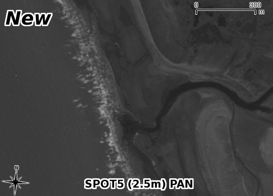 example-pan-new_words